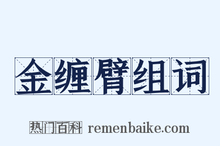 金缠臂组词是什么意思的图片